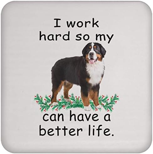 Забавна поговорка Подаръци Bernese mountain dog Трицветна Кафяв Могат да Живеят по-добре Да си куче Е по-добър живот