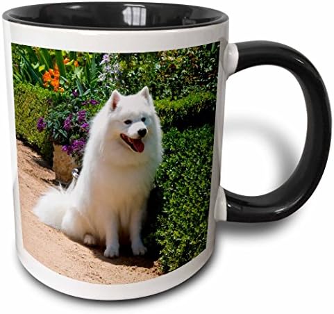 Триизмерна американската эскимосская куче-US05 ZMU0082-Оцветен чаша Zandria Muench Beraldo, 11 грама, черно-бял