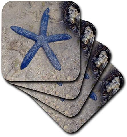 3dRose CST_22794_2 Рядка синята морска звезда Морски звезди във водите на острова Malolo Фиджи Меки подложки, (Комплект