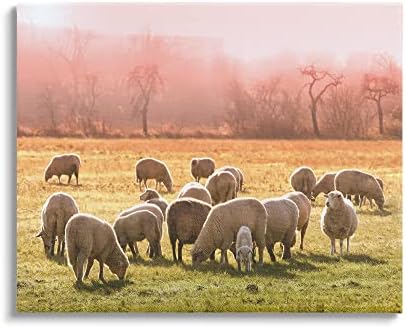 Стадо Овце Stupell Industries Паша На Топло Розов Залез Слънце На Селските Ливади Платно На Стенно Изкуство, Дизайн