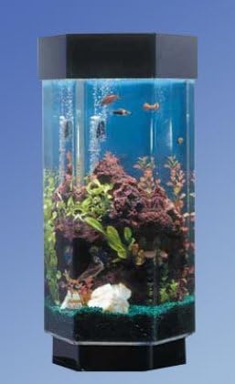 Комплект за аквариум Midwest Tropical Fountain Aqua обем 15 Литра с Шестигранным Пейзаж