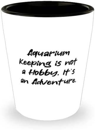 Вдъхновяваща грижа за аквариум, грижите за аквариума - това не е хоби. Това е едно приключение, чаша на любовта,