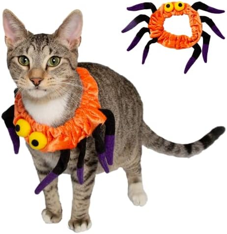 Костюм с ошейником за котки-паяк Пет Krewe подходящ за всички в един размер - Идеално за партита, фотосесии, подаръци