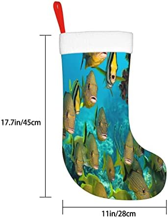 Коледни Чорапи Augenstern Тропически Риби, Подводни Двустранни Чорапи За Окачване На Камина.